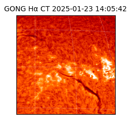 gong - 2025-01-23T14:05:42