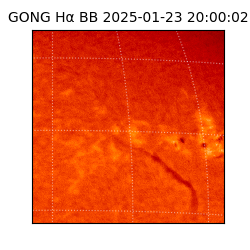 gong - 2025-01-23T20:00:02