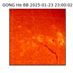gong - 2025-01-23T23:00:02