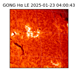 gong - 2025-01-23T04:00:43