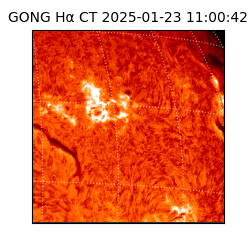 gong - 2025-01-23T11:00:42
