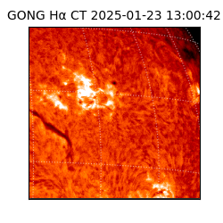 gong - 2025-01-23T13:00:42