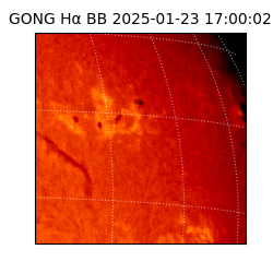 gong - 2025-01-23T17:00:02