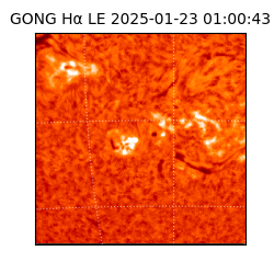 gong - 2025-01-23T01:00:43