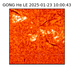gong - 2025-01-23T10:00:43