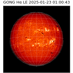 gong - 2025-01-23T01:00:43