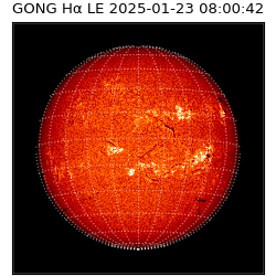 gong - 2025-01-23T08:00:42