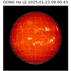 gong - 2025-01-23T09:00:43