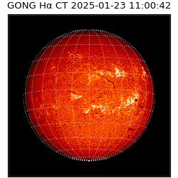 gong - 2025-01-23T11:00:42