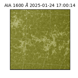 saia - 2025-01-24T17:00:14.122000
