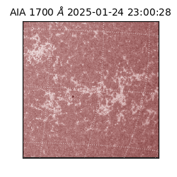 saia - 2025-01-24T23:00:28.721000
