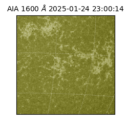 saia - 2025-01-24T23:00:14.125000