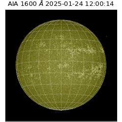 saia - 2025-01-24T12:00:14.122000