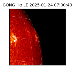 gong - 2025-01-24T07:00:43