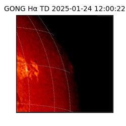 gong - 2025-01-24T12:00:22