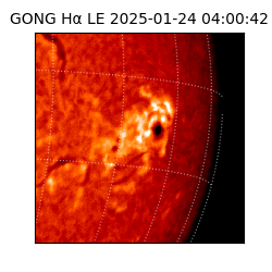 gong - 2025-01-24T04:00:42