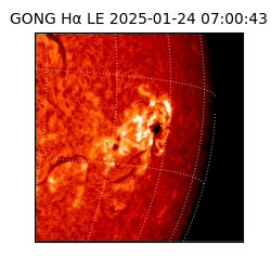 gong - 2025-01-24T07:00:43