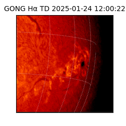 gong - 2025-01-24T12:00:22