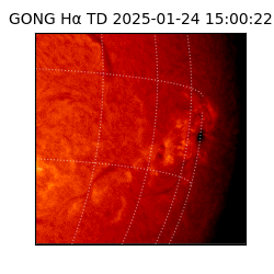 gong - 2025-01-24T15:00:22