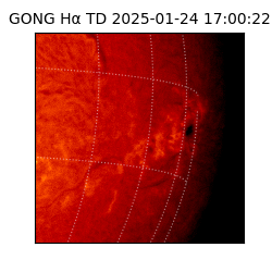 gong - 2025-01-24T17:00:22