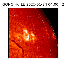 gong - 2025-01-24T04:00:42