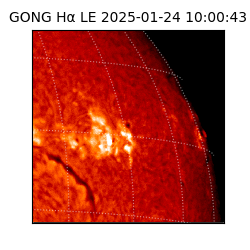 gong - 2025-01-24T10:00:43