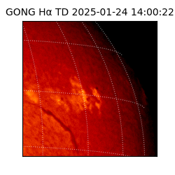 gong - 2025-01-24T14:00:22