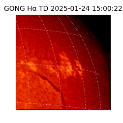 gong - 2025-01-24T15:00:22