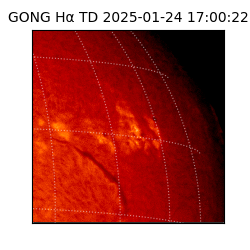 gong - 2025-01-24T17:00:22