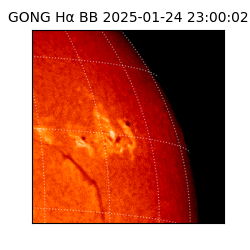 gong - 2025-01-24T23:00:02
