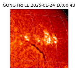 gong - 2025-01-24T10:00:43