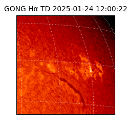 gong - 2025-01-24T12:00:22