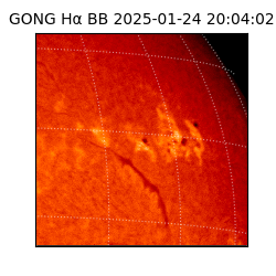 gong - 2025-01-24T20:04:02
