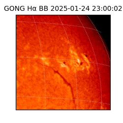 gong - 2025-01-24T23:00:02