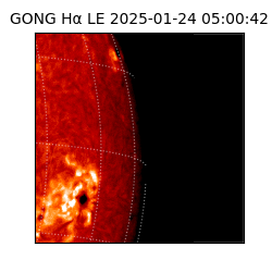 gong - 2025-01-24T05:00:42