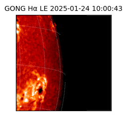 gong - 2025-01-24T10:00:43