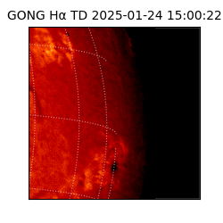 gong - 2025-01-24T15:00:22