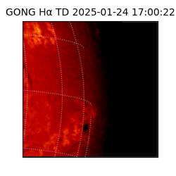 gong - 2025-01-24T17:00:22