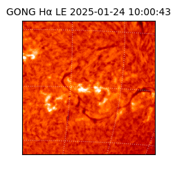 gong - 2025-01-24T10:00:43