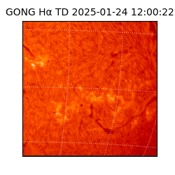 gong - 2025-01-24T12:00:22