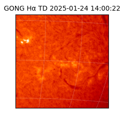 gong - 2025-01-24T14:00:22
