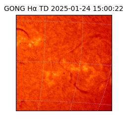 gong - 2025-01-24T15:00:22