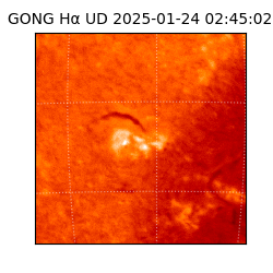 gong - 2025-01-24T02:45:02