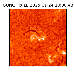 gong - 2025-01-24T10:00:43