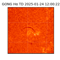 gong - 2025-01-24T12:00:22