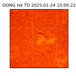 gong - 2025-01-24T15:00:22