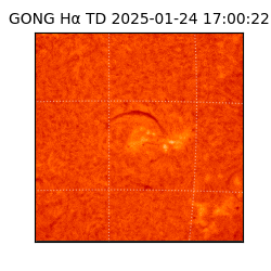 gong - 2025-01-24T17:00:22