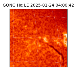 gong - 2025-01-24T04:00:42