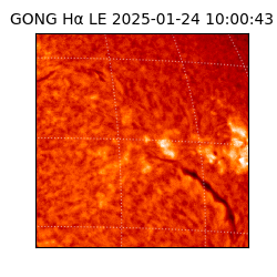 gong - 2025-01-24T10:00:43