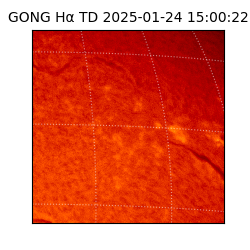 gong - 2025-01-24T15:00:22